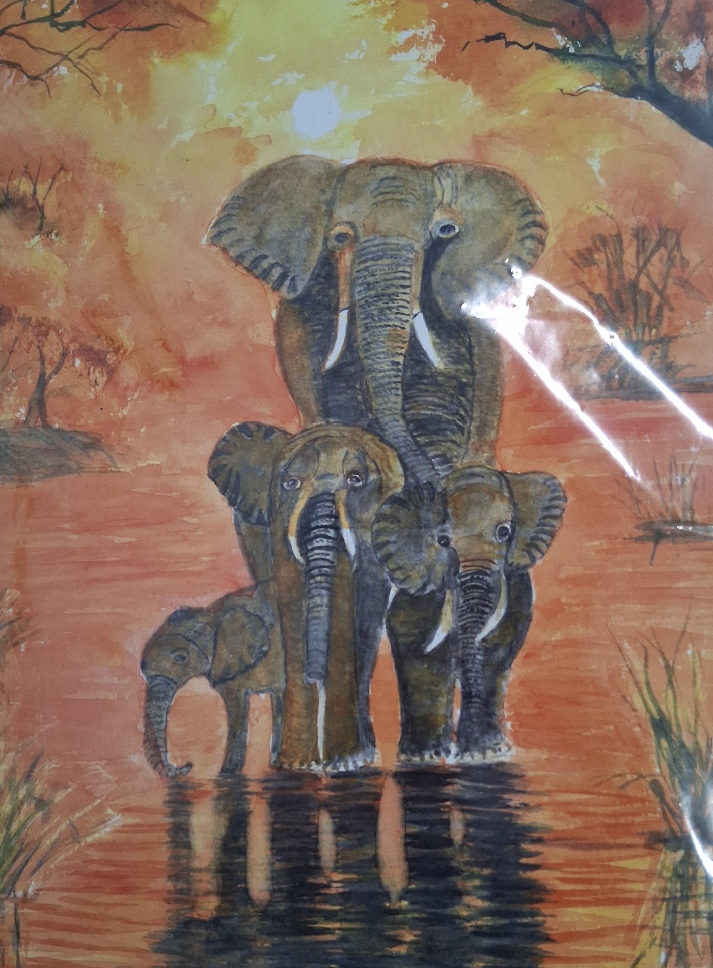 ‘Elephants’ – Sally Cooper