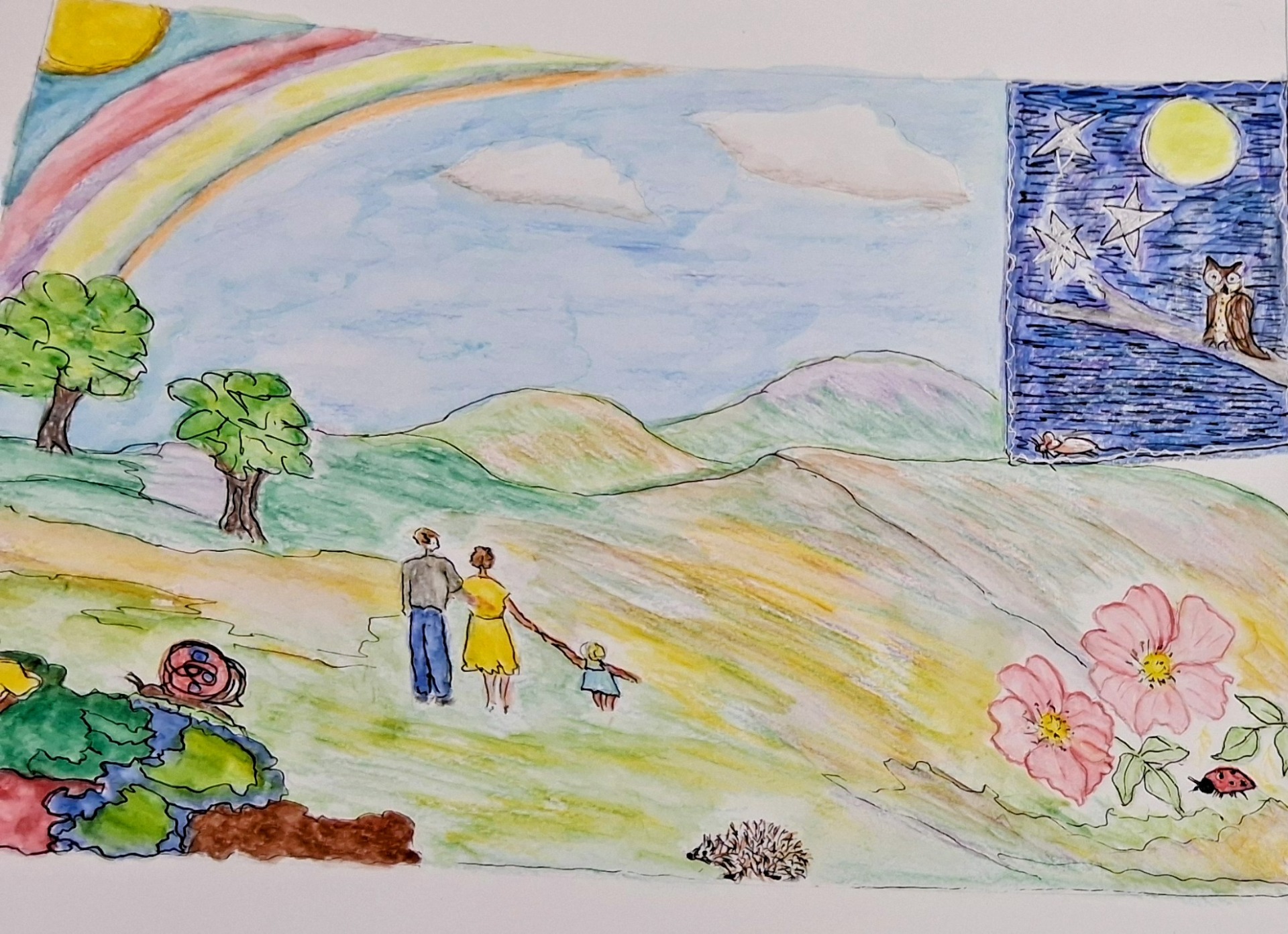 'Rainbow' - Paddy Collison